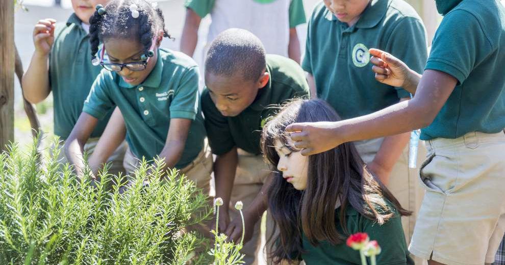 Dan Gill shares tips for creating a kid-friendly summer garden in New Orleans
