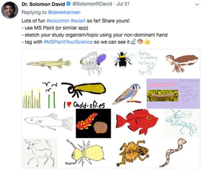Scientists' child-like drawings of the creatures they study are going viral. Here's why.