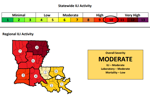 Flu-like illness in Louisiana