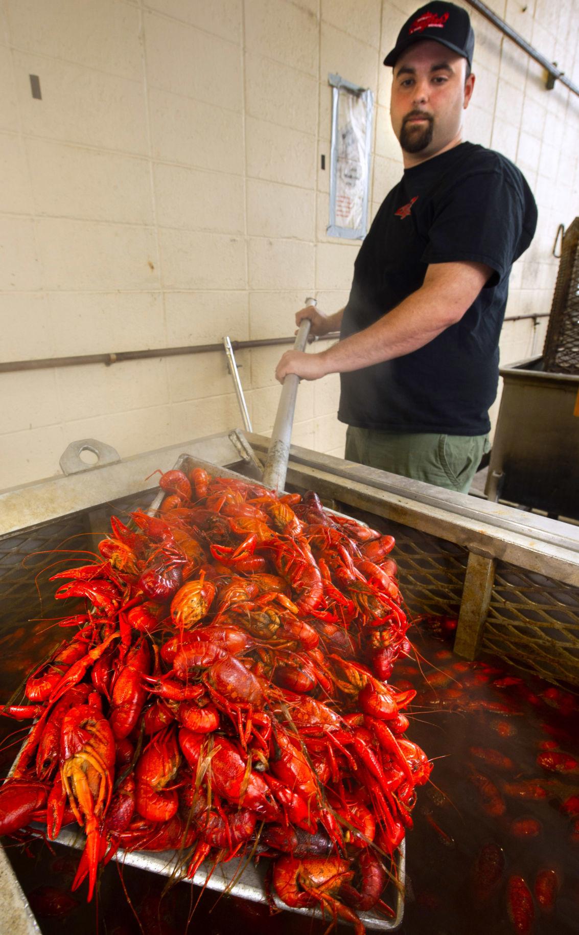 Crawfish season in Louisiana off to a hot start; see how low prices are