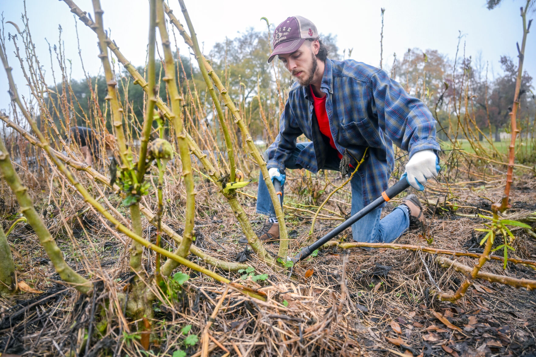 Baton Rouge community farm training new urban farmers | Louisiana ...