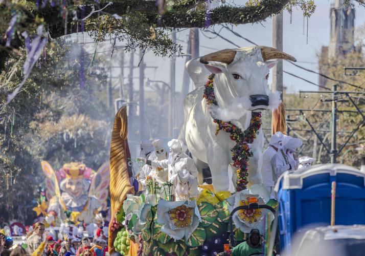 Mardi Gras 2024 takes over New Orleans Mardigras