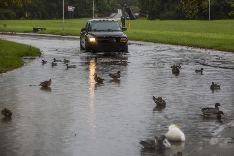 In a wetter than average year, here's how much rain fell in south