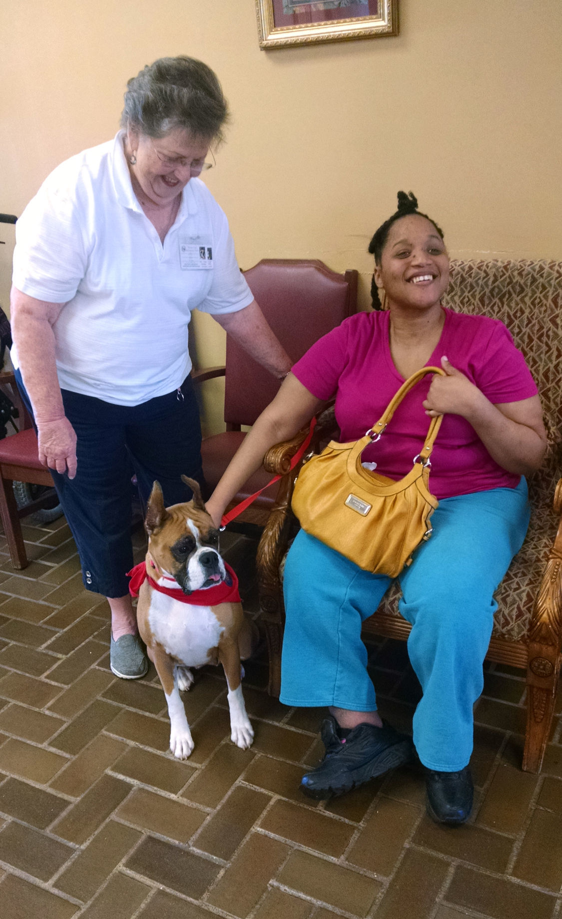 deep south obedience