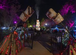 Celebration in the Oaks holiday lights display opens Nov. 28