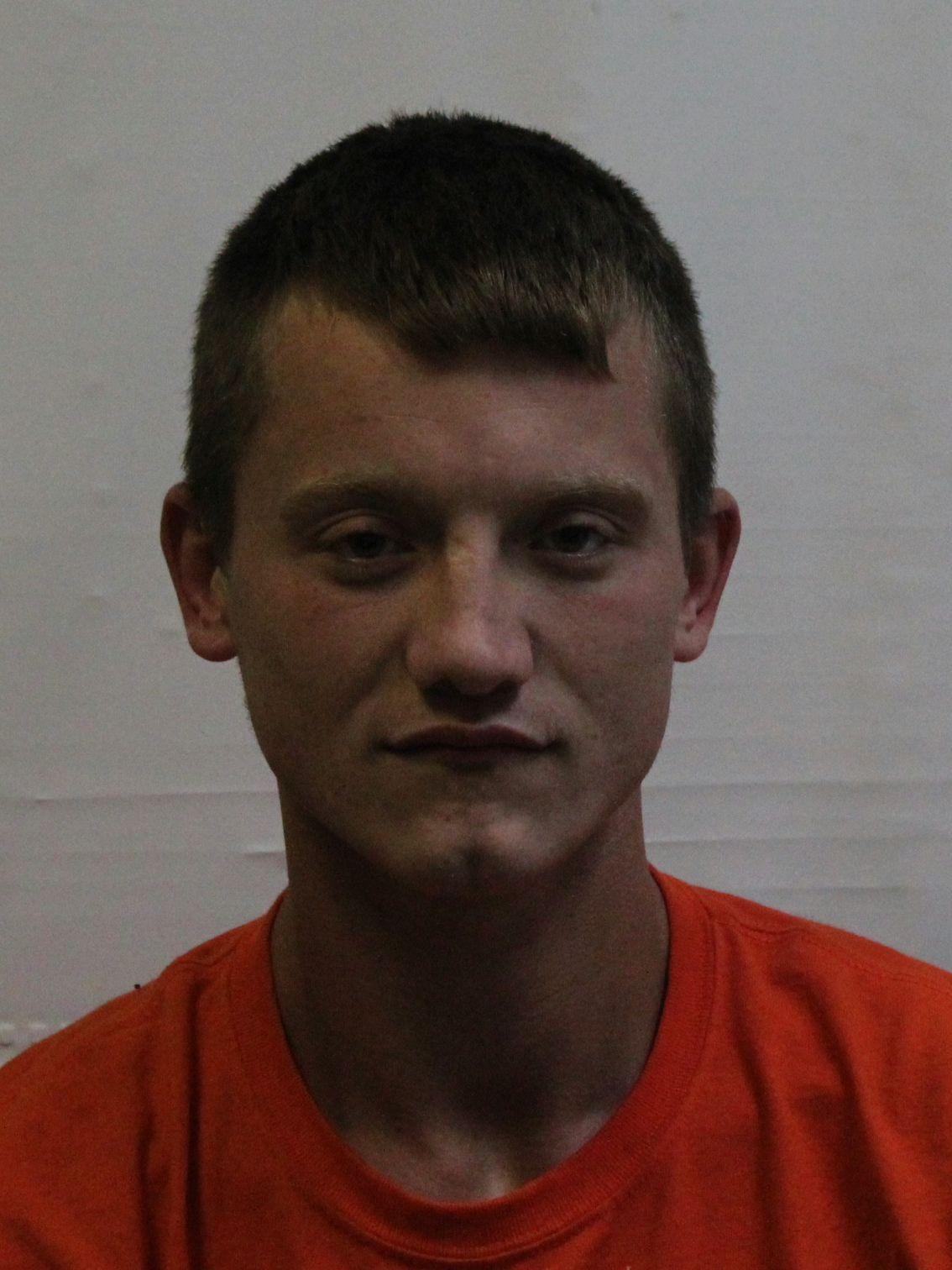 Bayou L'Ourse man sentenced to six years in prison for carnal knowledge