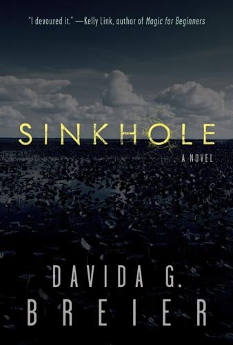 Sinkhole by Davida Breier