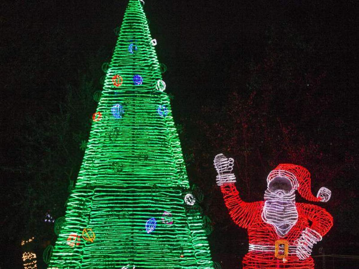 Photos Lafreniere Park Christmas Lights News Nola Com Lafreniere Park Christmas Lights 2021