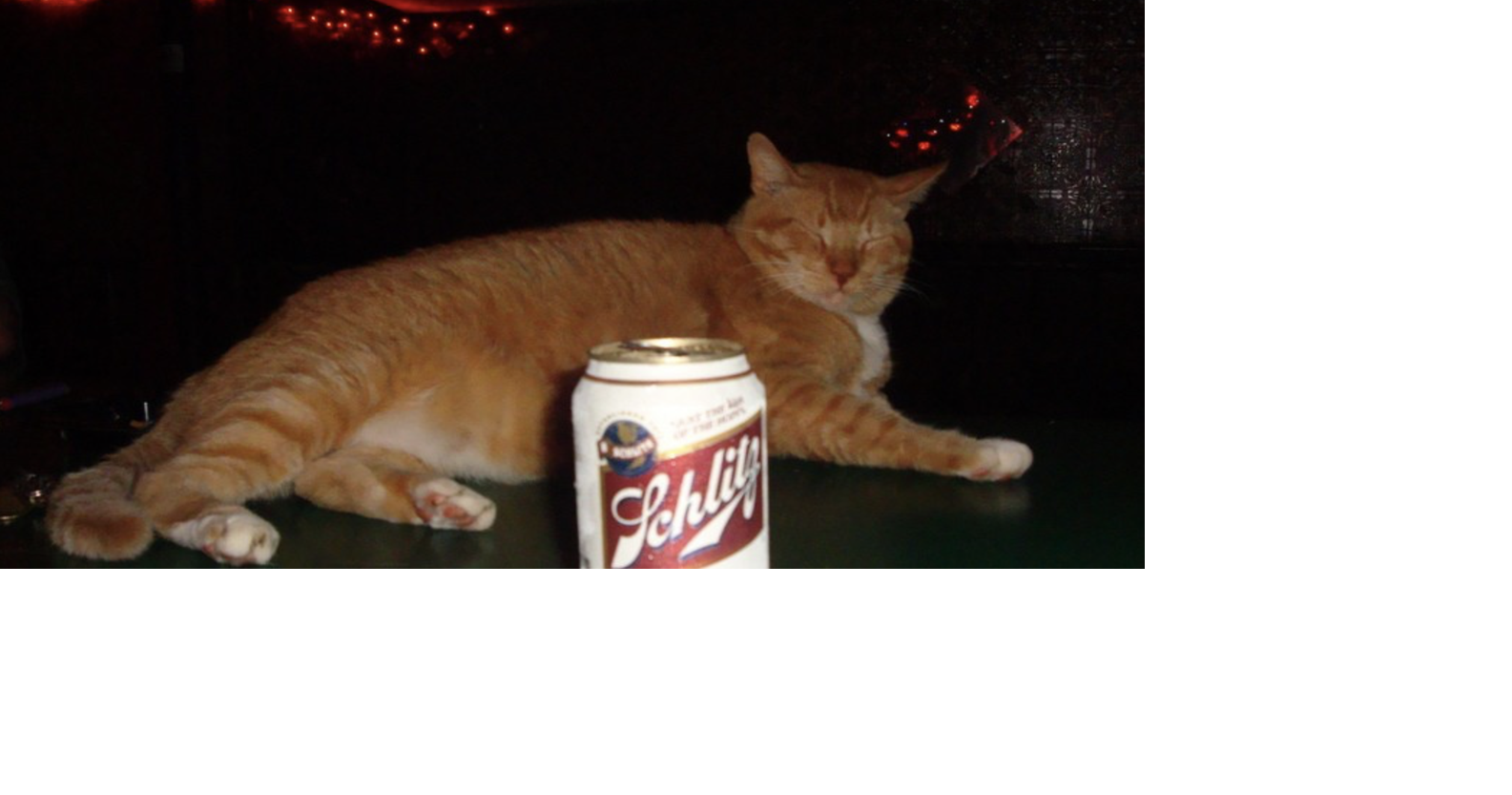 With Schlitz gone forever at Snake and Jake’s, a plan forms to choose dive bar’s next $2 beer