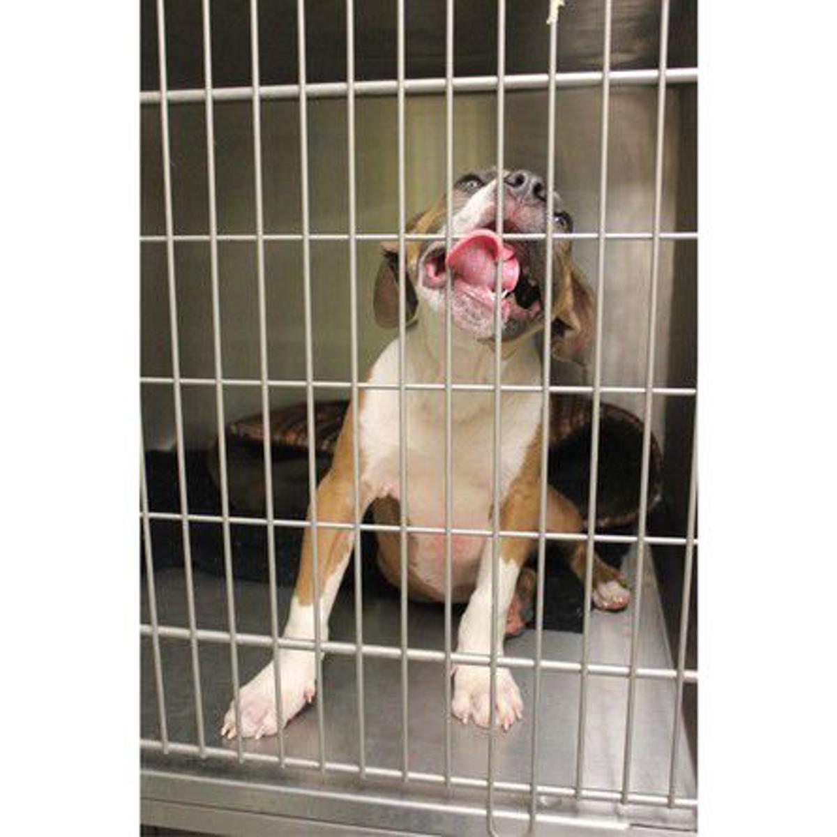 Zeus Place Has A New Location In Downtown New Orleans Business