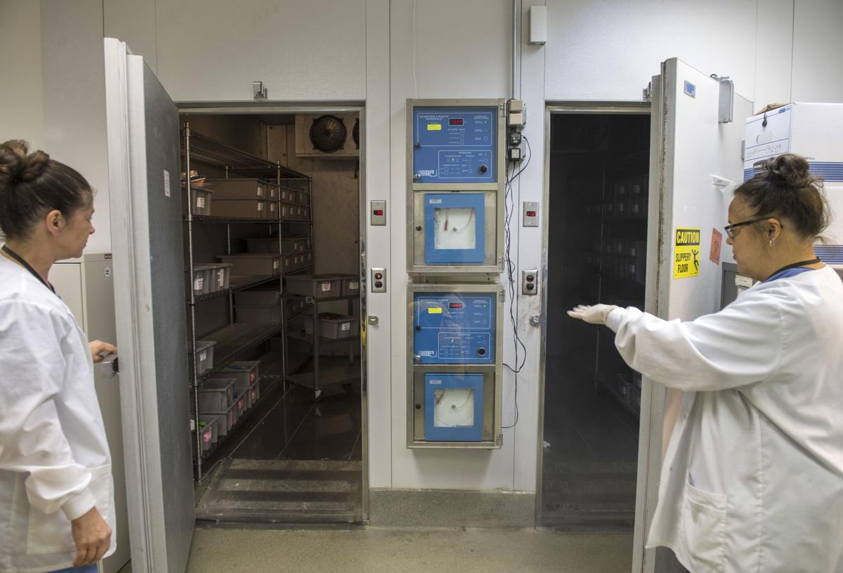 Job applications for the coroners office in new orleans louisiana