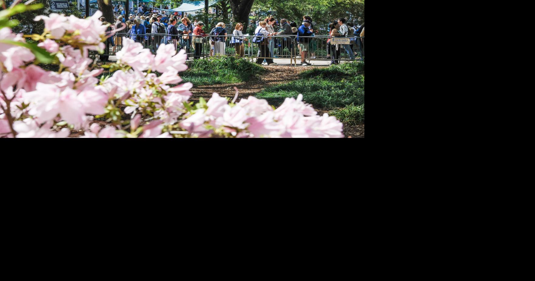 Salman Rushdie, Kara Swisher, Clint Smith among highlights at Friday's Book Fest