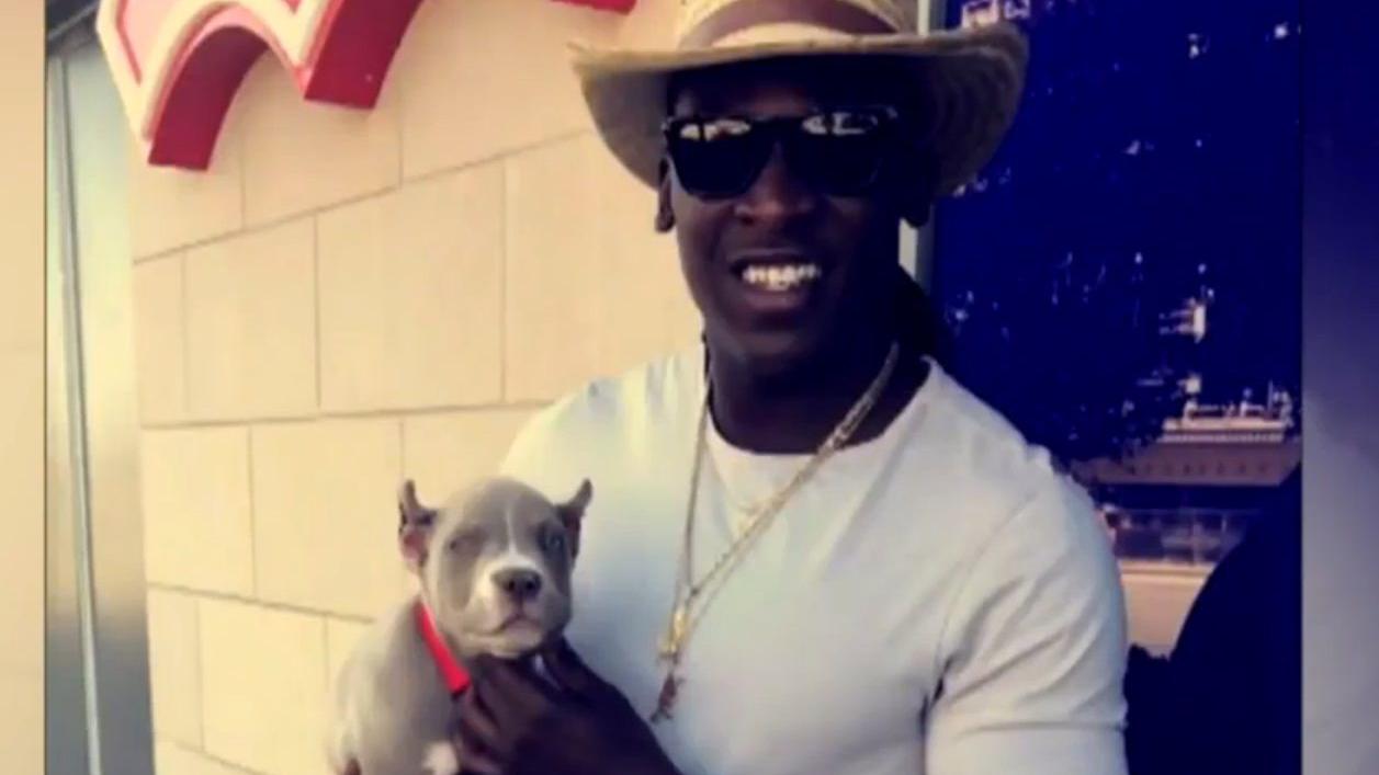 Cowboys Receiver Says Puppy Blitz Is Home Safe After He Was Stolen Held For Ransom News Nola Com