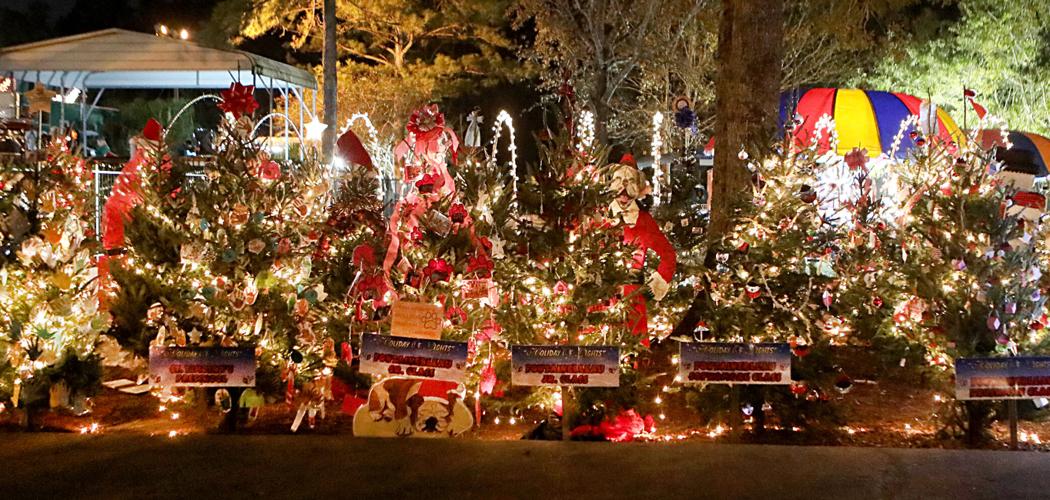 Holiday of Lights is an annual St. Tammany favorite St. Tammany