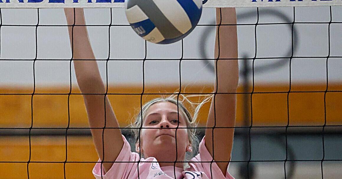 Mandeville Volleyball Summer League provides experience for local teams - Vimarsana News