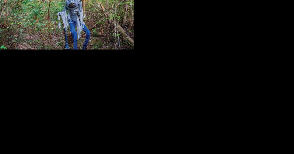 Much ado about the Rougarou: How tales of the Cajun folklore creature have endured for centuries - Vimarsana News