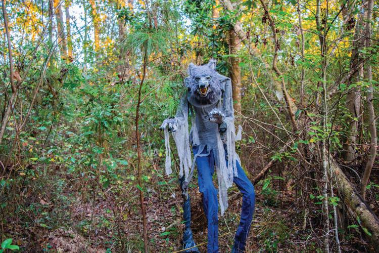 Covington's Halloween 'screams' down Blue Swamp Creek Nature Trail (copy)