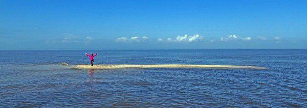 The Cat Islands Are Almost Gone Will We Save Grand Isle