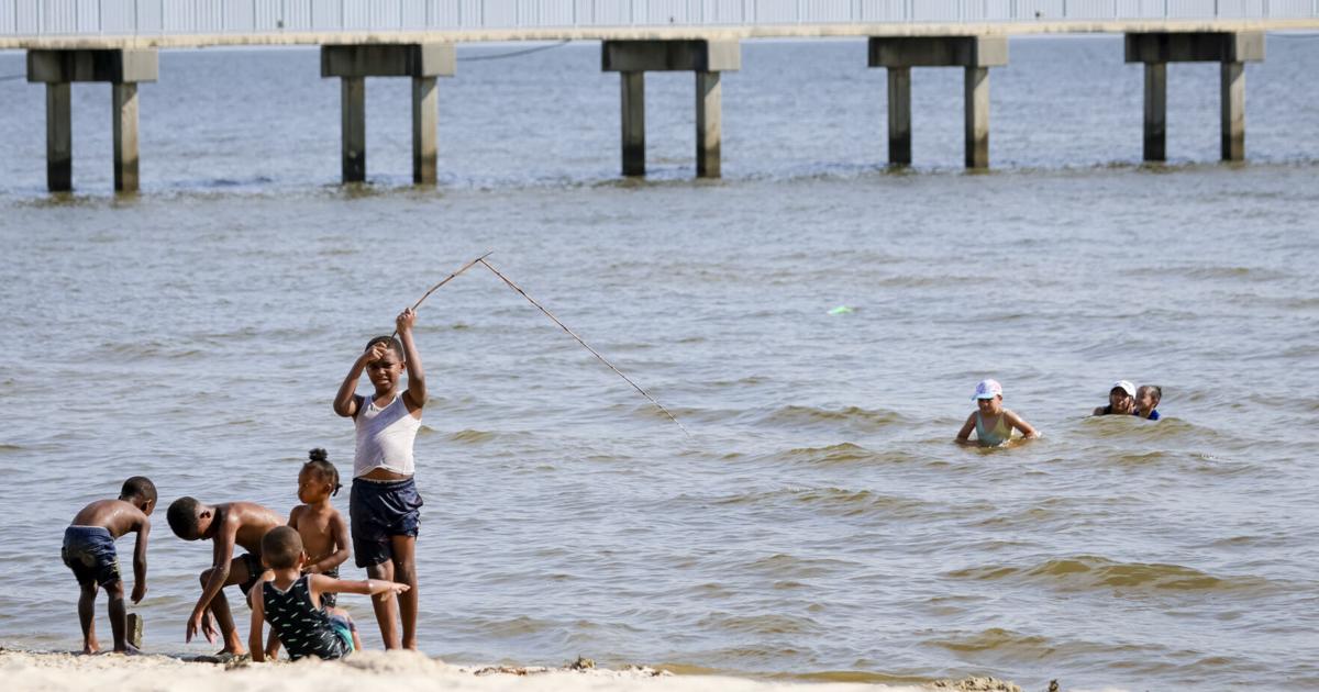 What’s behind the surge of flesh-eating bacteria on the Gulf Coast? - NOLA.com
