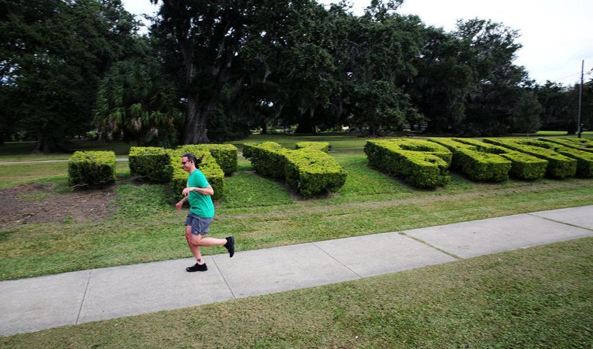 Worst haircut ever? New Orleans City Park vows to fix 'TY PARK' topiary
