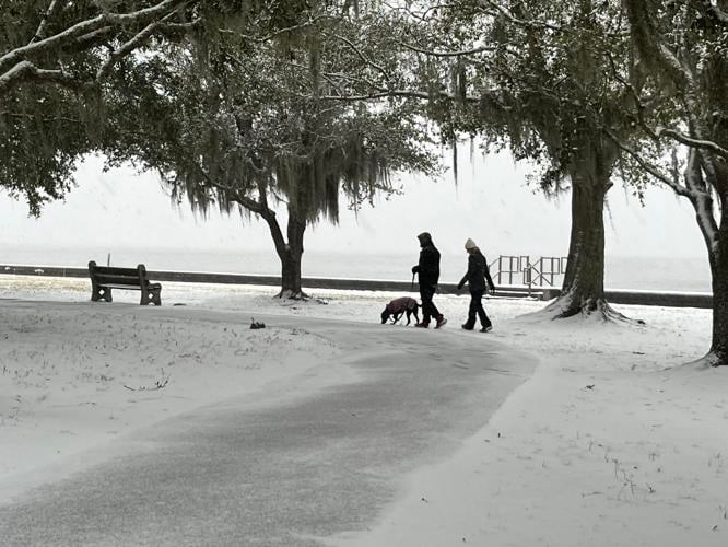 Snow begins to fall in New Orleans LA. See forecast Weather