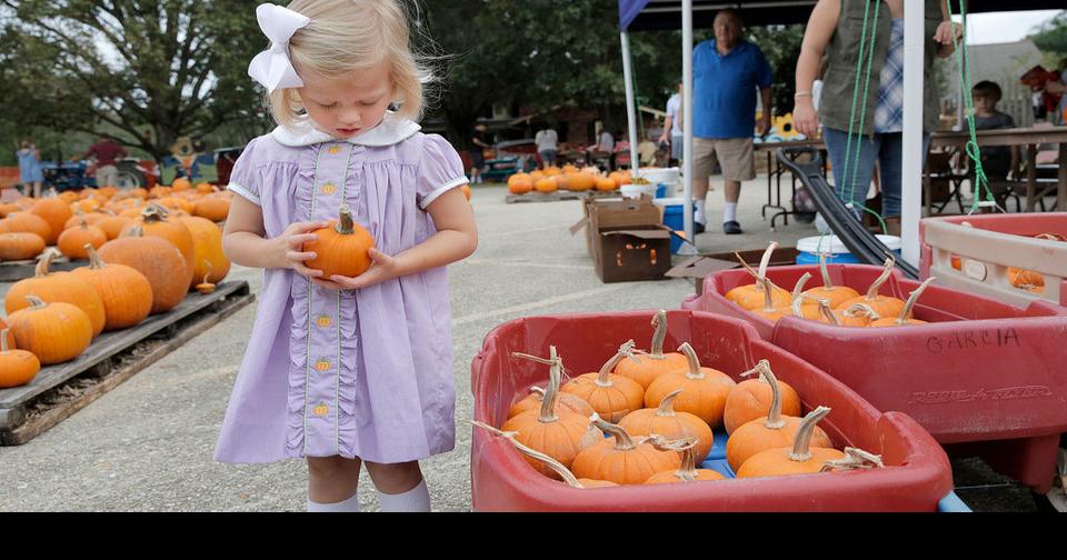 Pumpkin patches to visit in and around New Orleans Archive