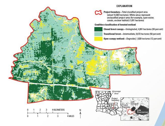 Diversion project to help repair Maurepas Swamp gets 130 million BP fine boost