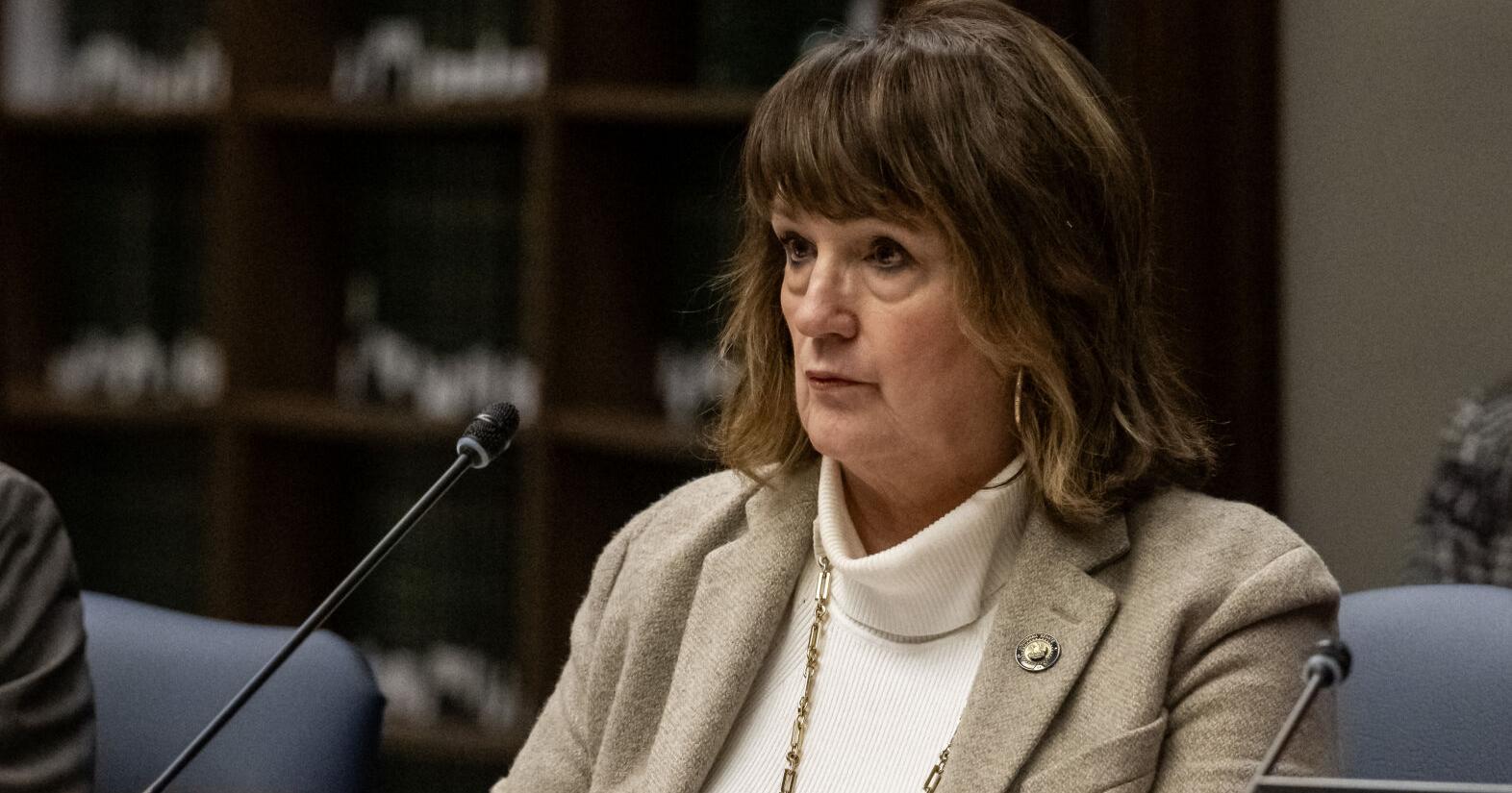 Louisiana on track to make illegal immigration a state crime | Local Politics - Vimarsana News