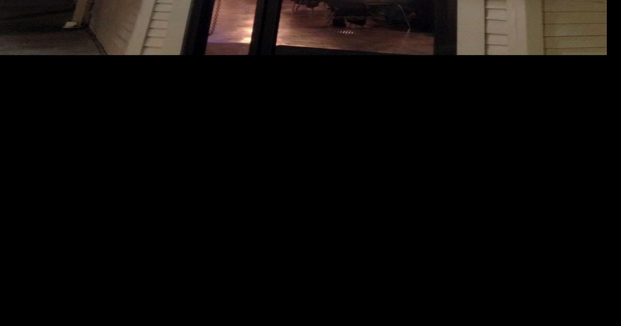 Mint Modern Vietnamese Bistro & Bar New restaurants in New Orleans