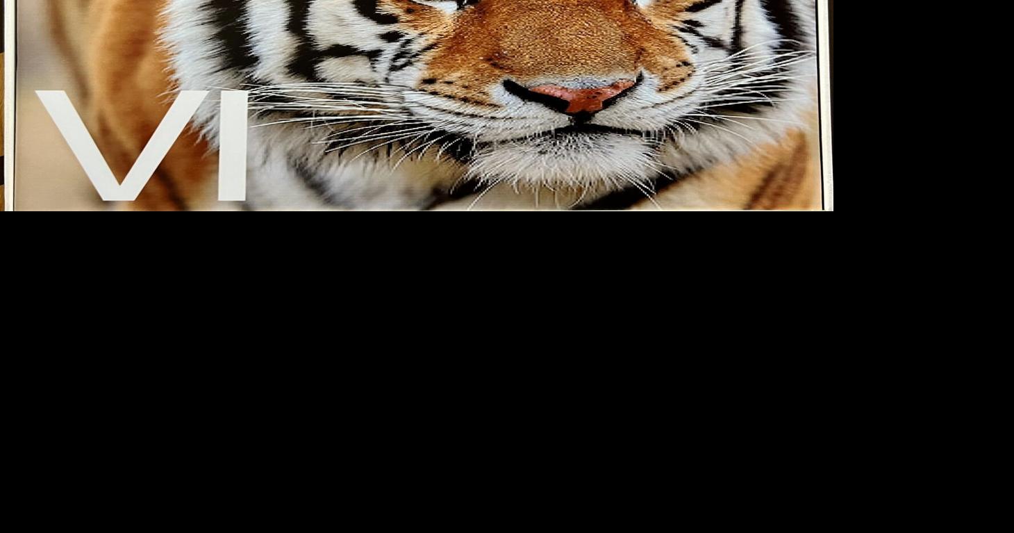 Letters Governor distracted by Mike the Tiger Opinions and