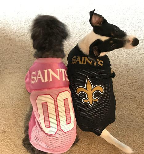 New Orleans Saints Pink Dog Jersey