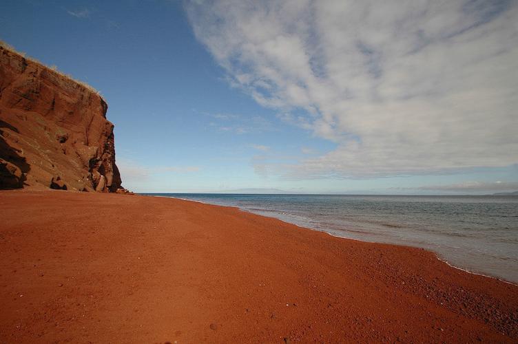 Slidell Photo Club members hold digital competition St. Tammany