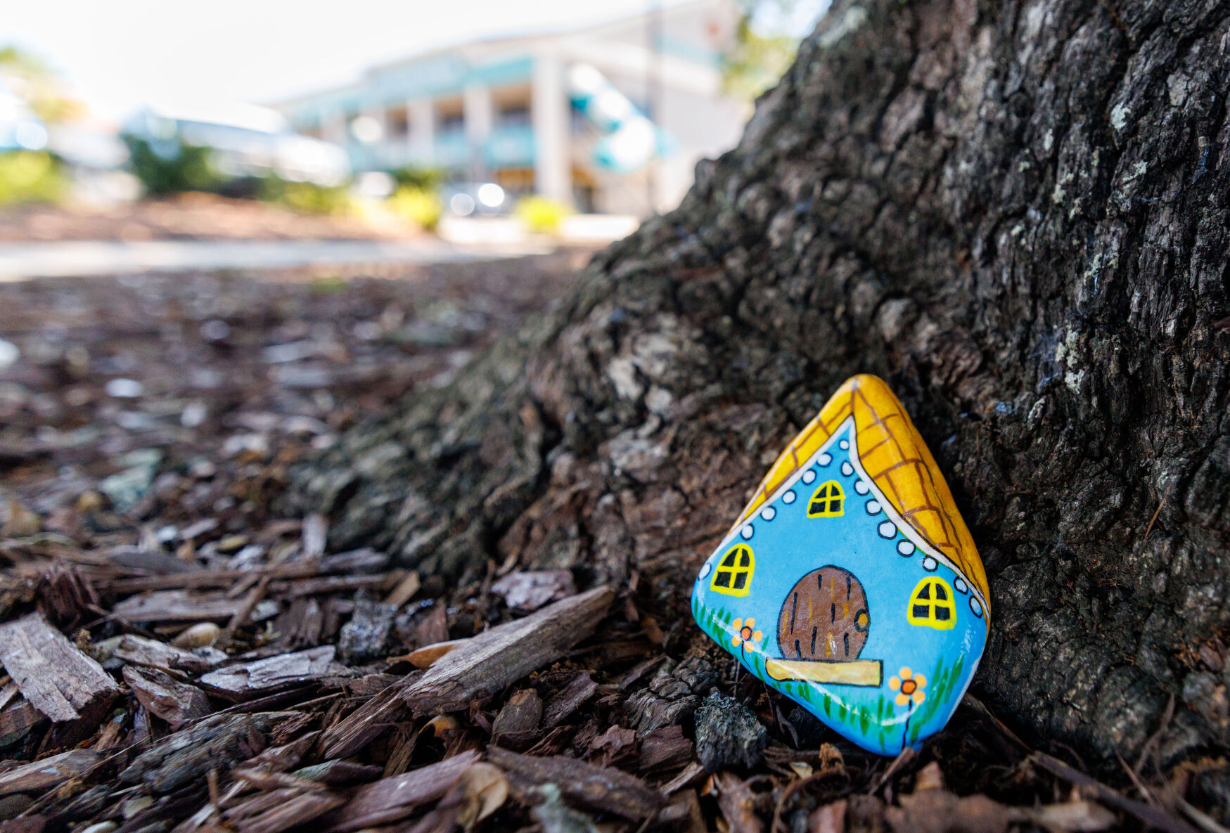 ROLLIE 19½ Street How New Orleans' 504 Rocks group hides painted rocks
