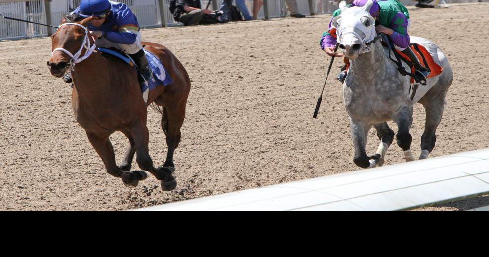 Pan Zareta Stakes set Saturday at the Fair Grounds Sports