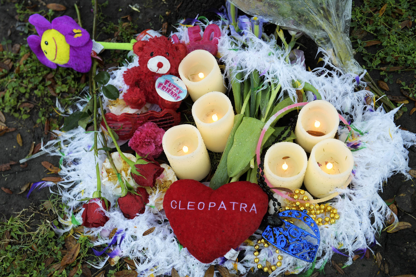 Tragic, surreal': At fatal Nyx parade accident, a reporter shares