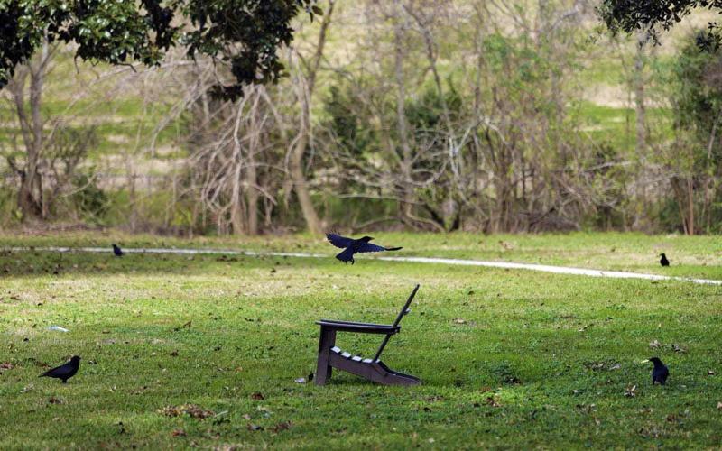 8 acres at Cenacle Retreat House in Metairie purchased by development