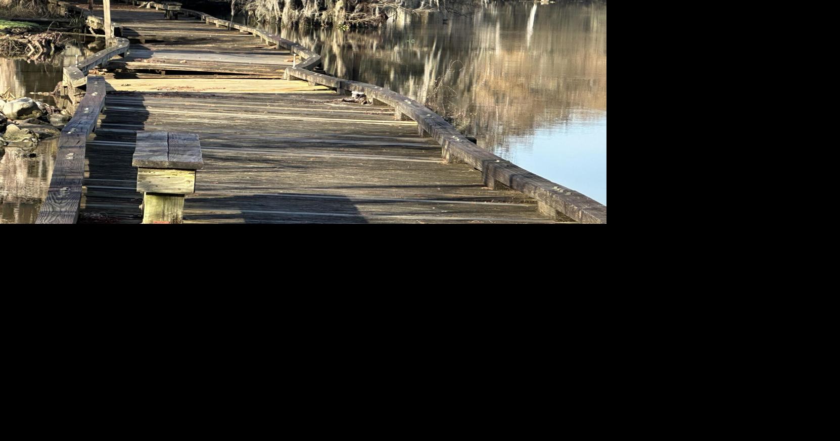 The restoration of Fairview Riverside State Park near Madisonville ...