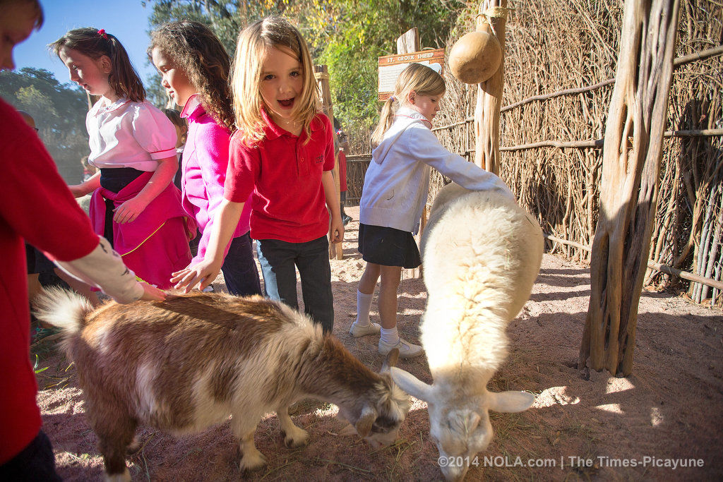 Audubon Zoo opens its new petting zoo on Saturday: Take a peek inside