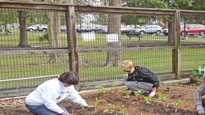 Gardeners Beatitudes New Year S Reflections On The Joys Of Digging In The Dirt Home Garden Nola Com