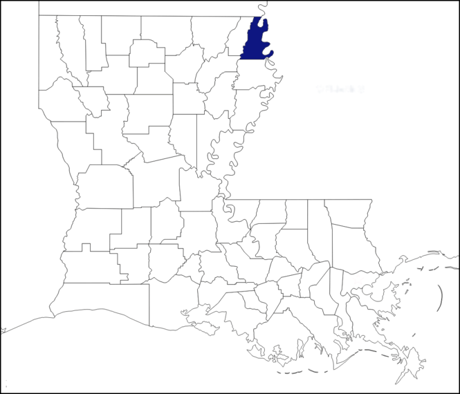 Which Louisiana parishes get the highest tax refunds? Business News