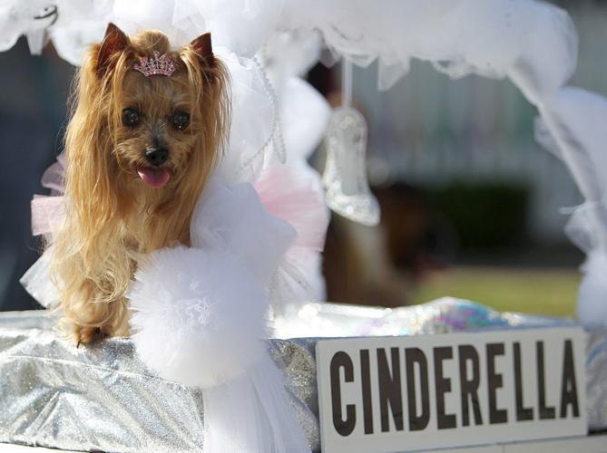 slidell mardi gras krewes
