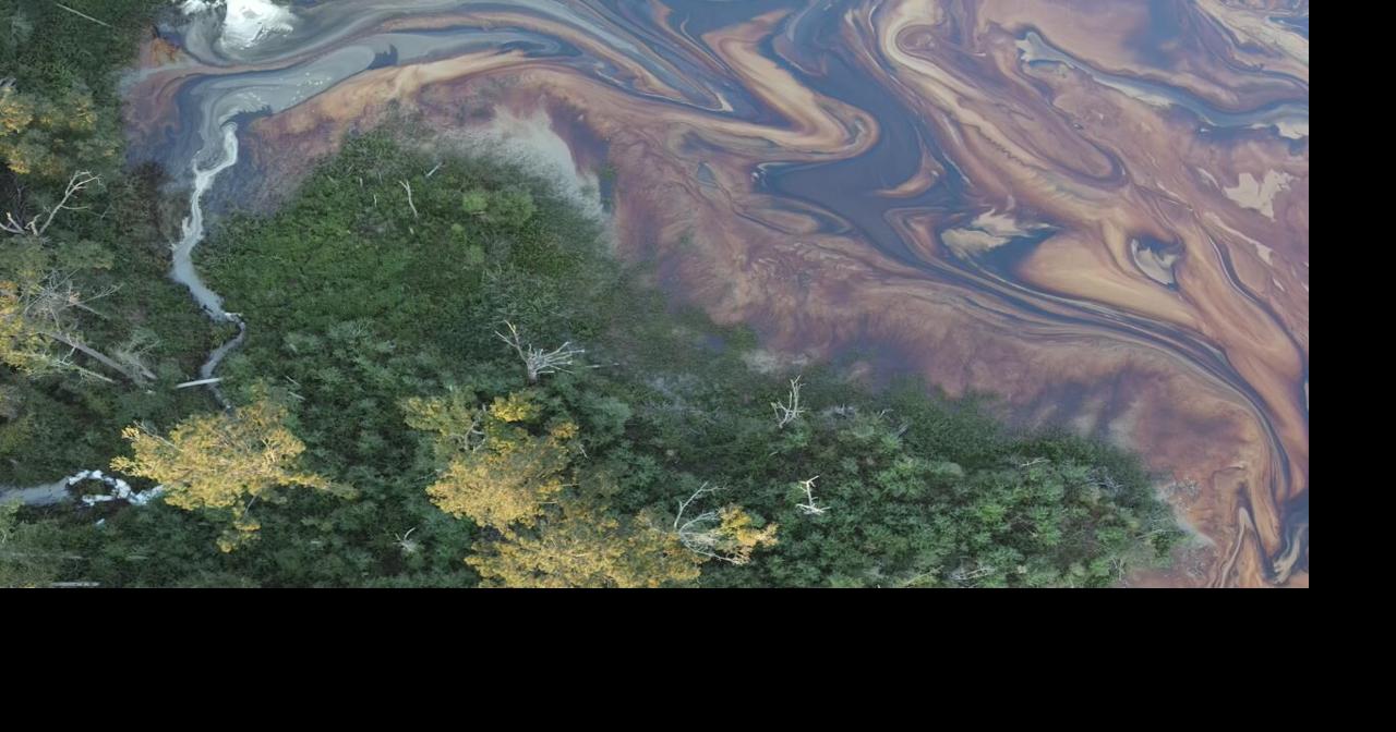 Bob Marshall: Losing track of environmental health matters | Guest Columns