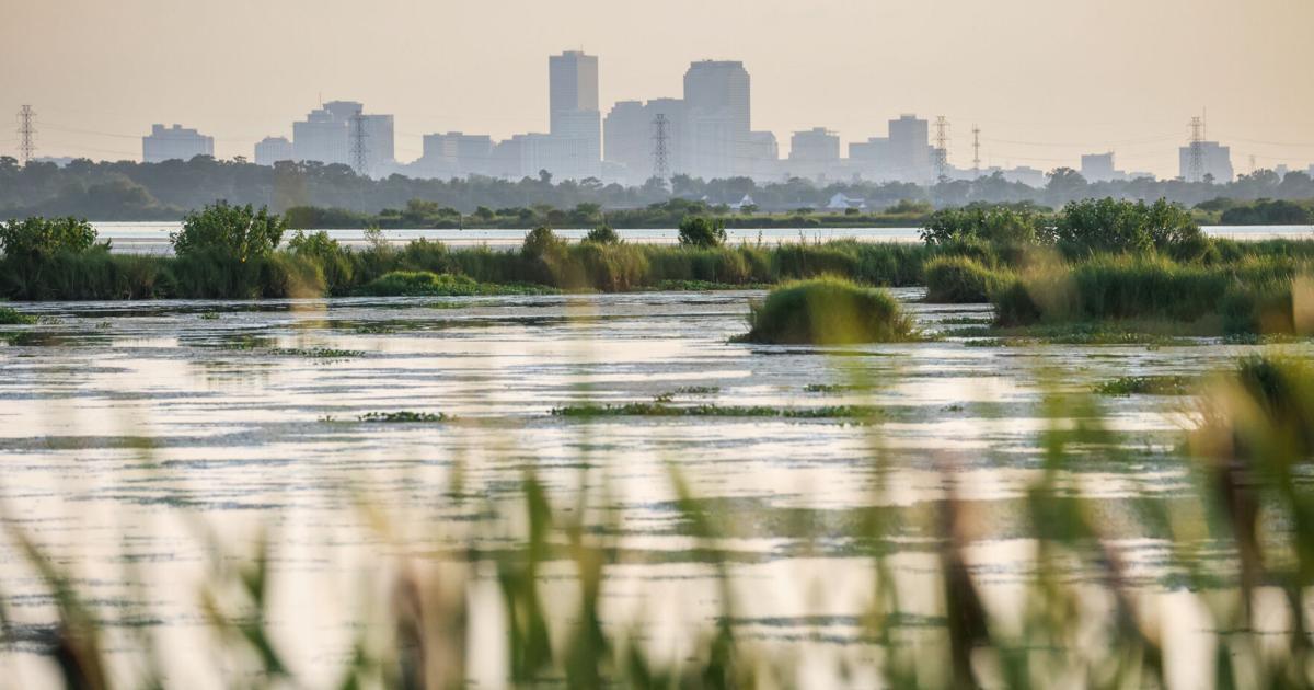 Louisiana 2050: What you need to know about our vanishing coast