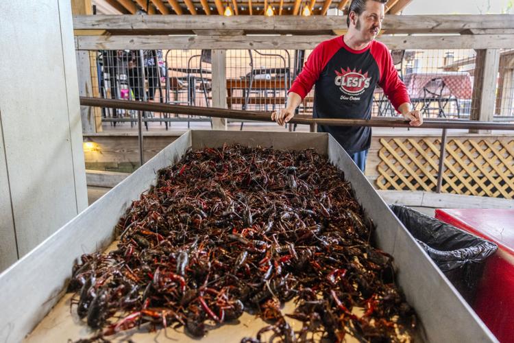 Why 2025 Louisiana crawfish season could be better than 2025 Where