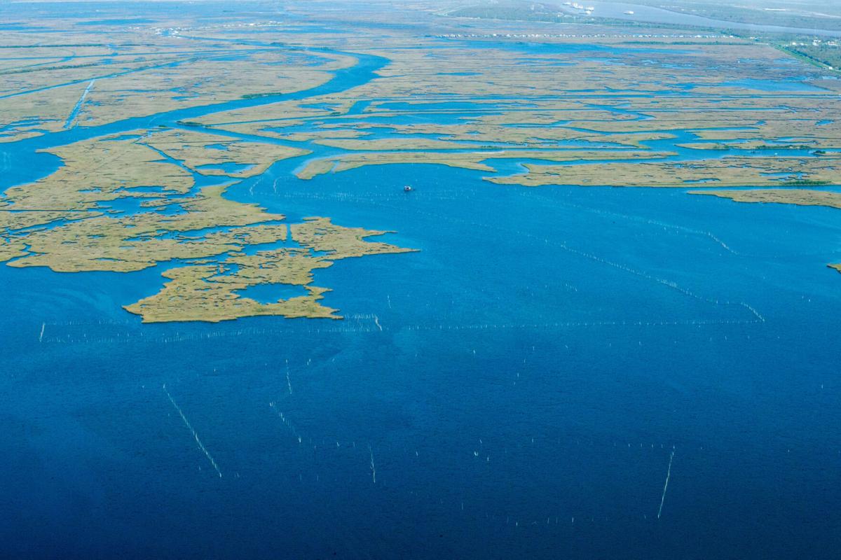 Barataria Bay's disappearing wetlands