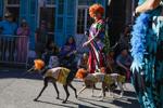Barkus Parade 40.jpg