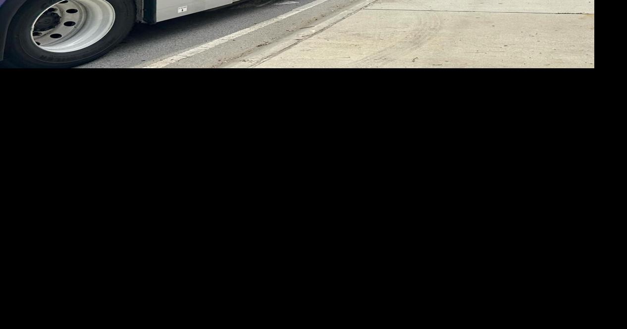 New RTA bus 2024 (copy)