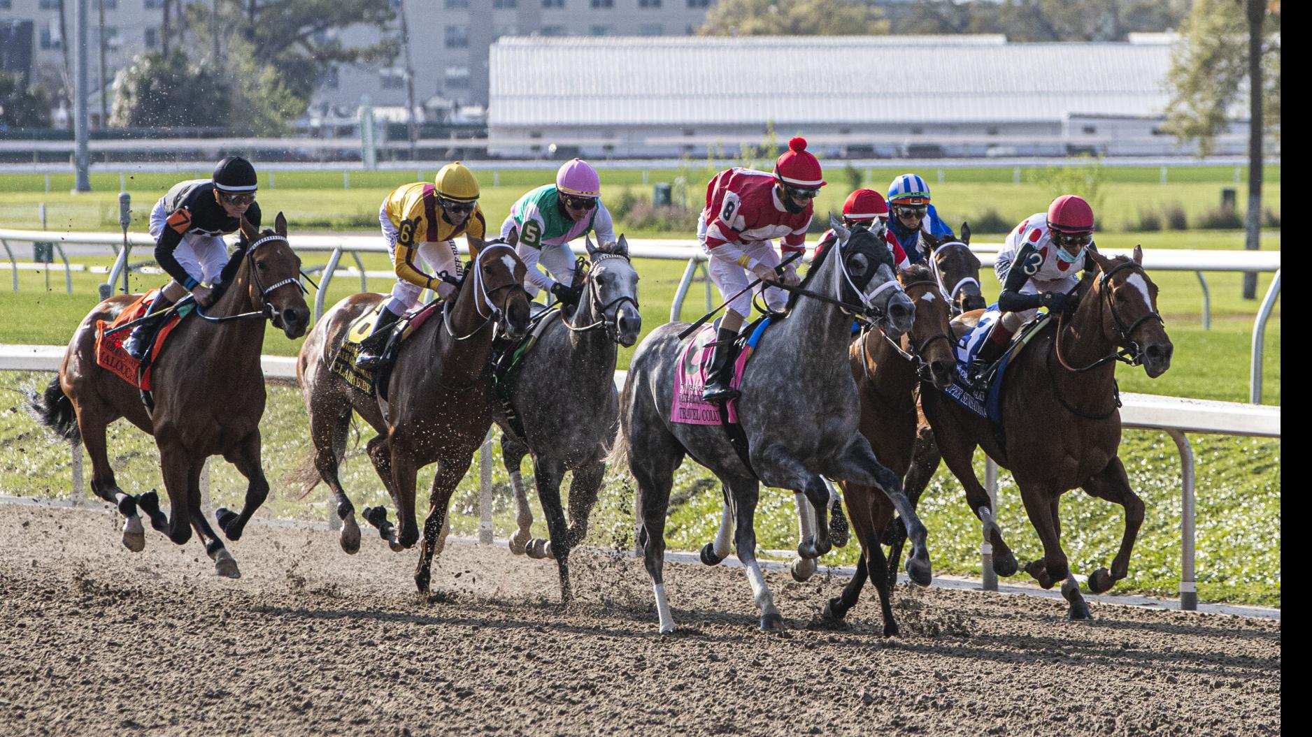 Woodbine Entertainment Adds Three New Members To Board Of Directors - Horse  Racing News