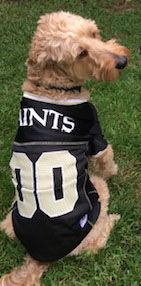 The Who-Dog Nation: See photos of the New Orleans Saints' furry and  feathered friends, Entertainment/Life