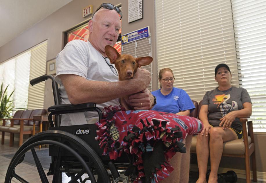 Baton Rouge man whose dog died in carjacking helps Slidell dog whose legs were cut off - NOLA.com